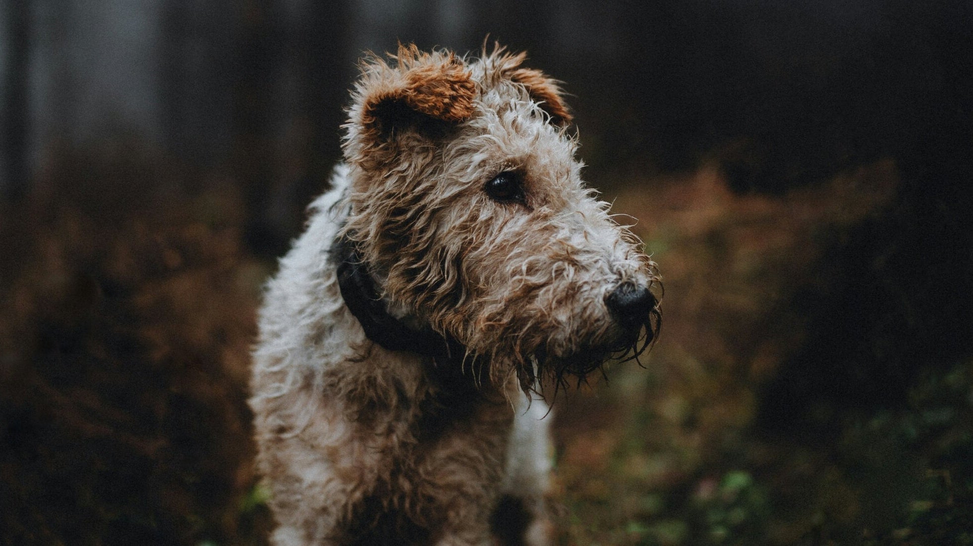 10 benefits of nature