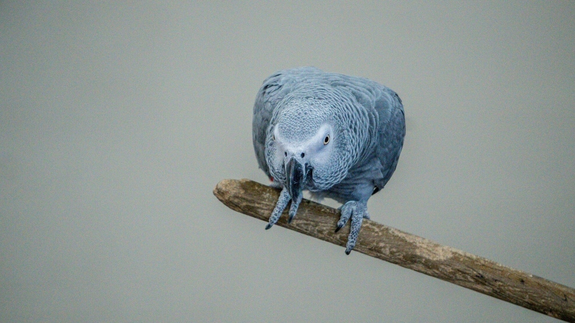 5 ways to practice self-compassion