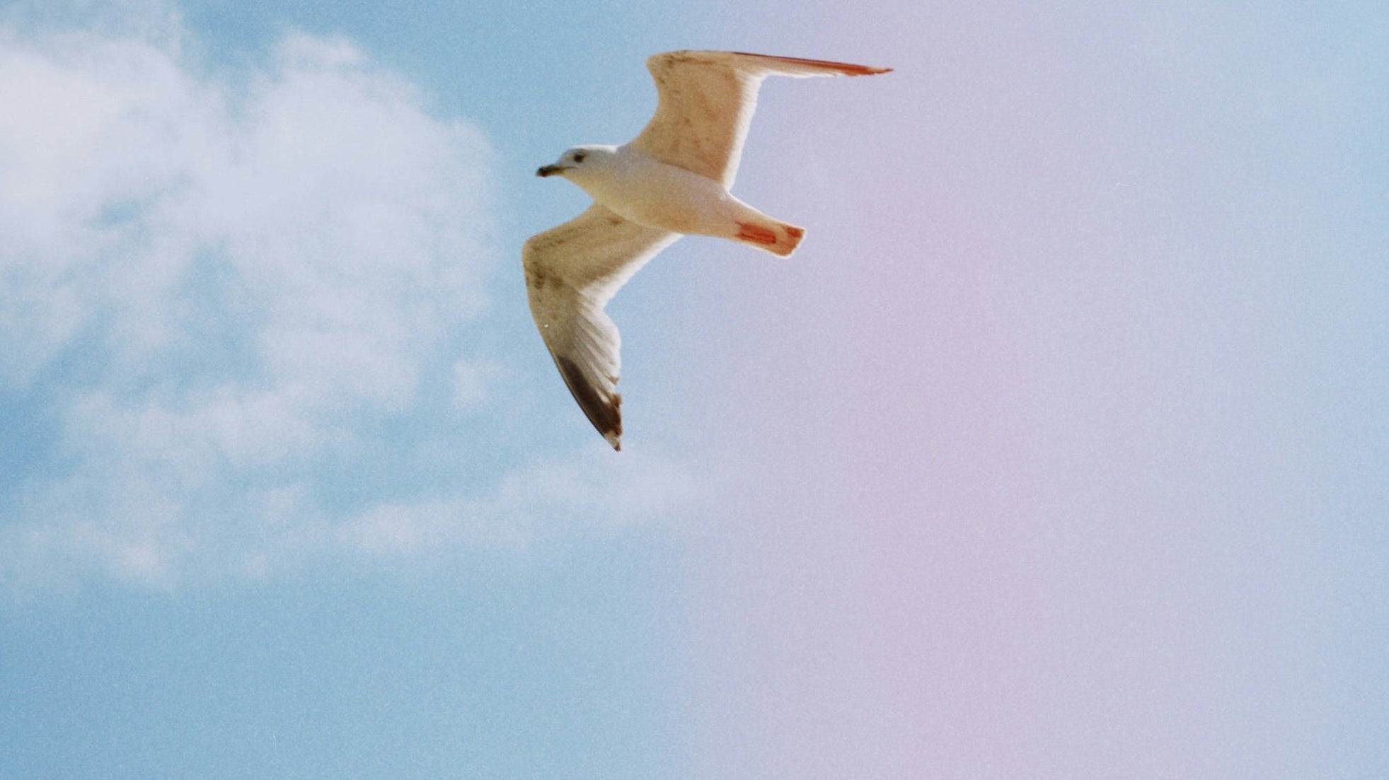 12 ways to forgive yourself – no matter what you’ve done!