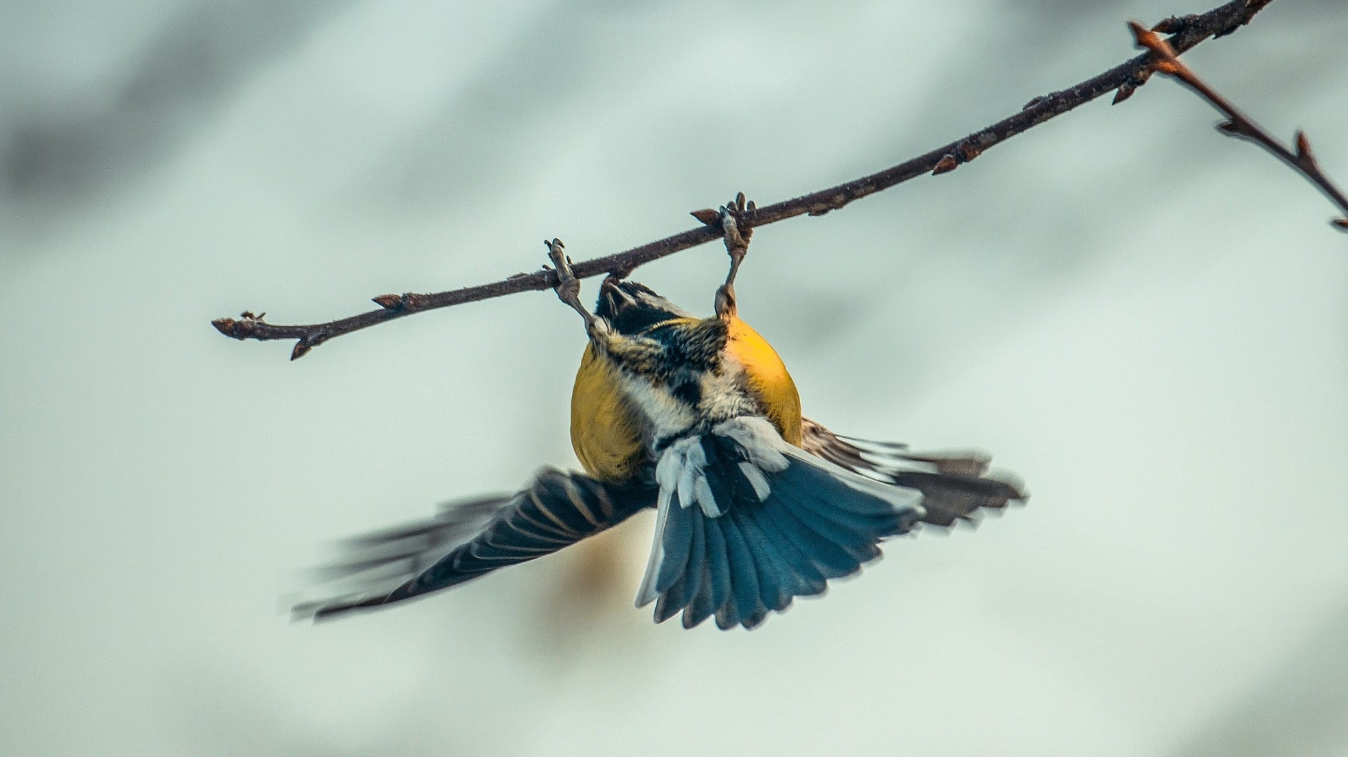 Why teens need self-compassion