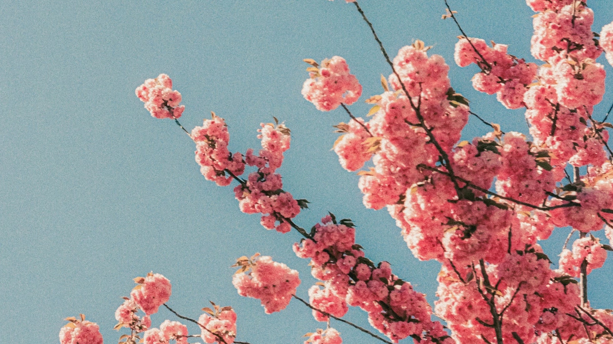 Mindfulness of your digital device