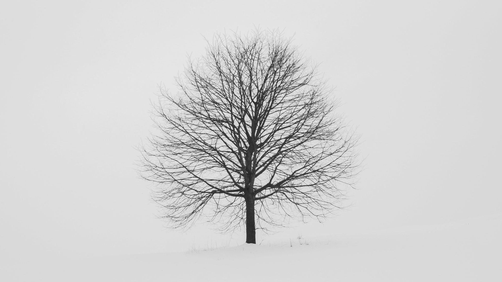 7 gifts to support a loved one in eating disorder recovery