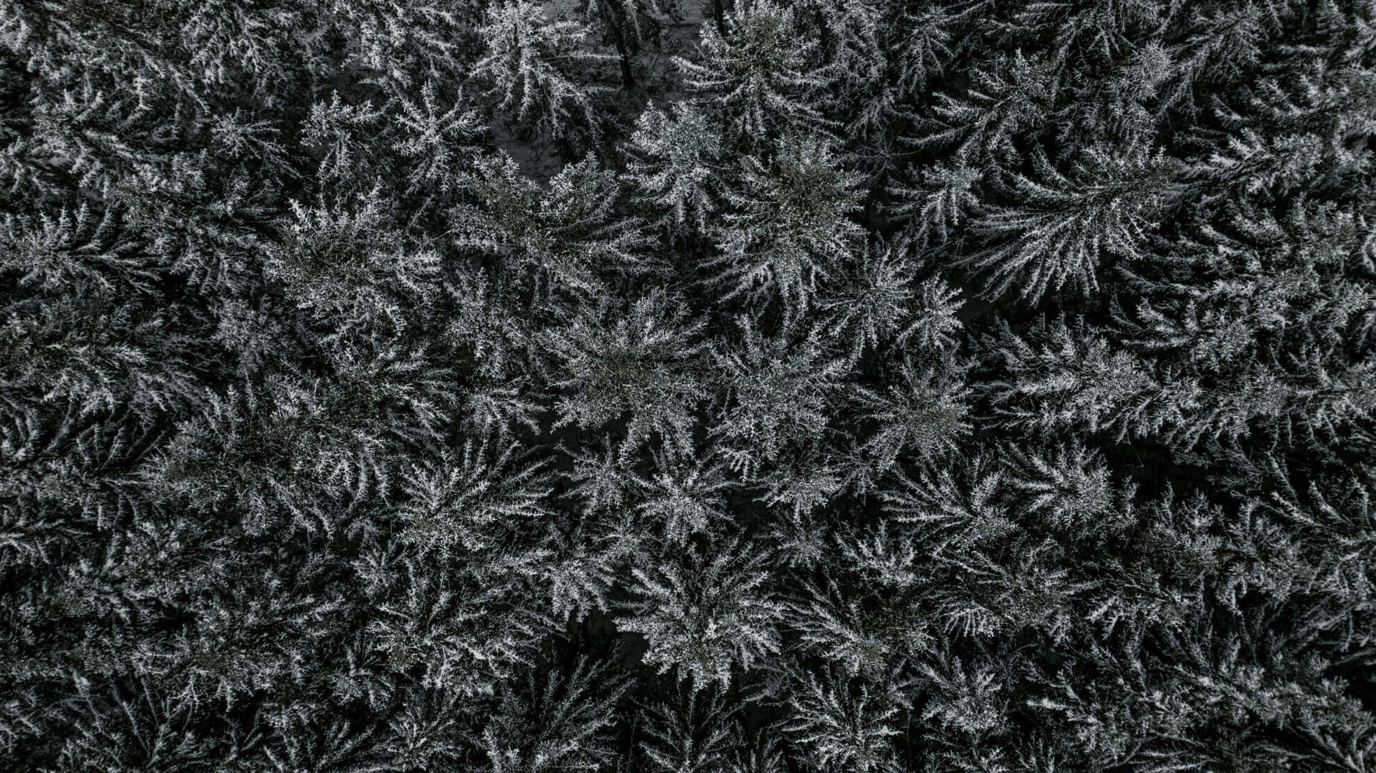 how to deepen your mindfulness practice