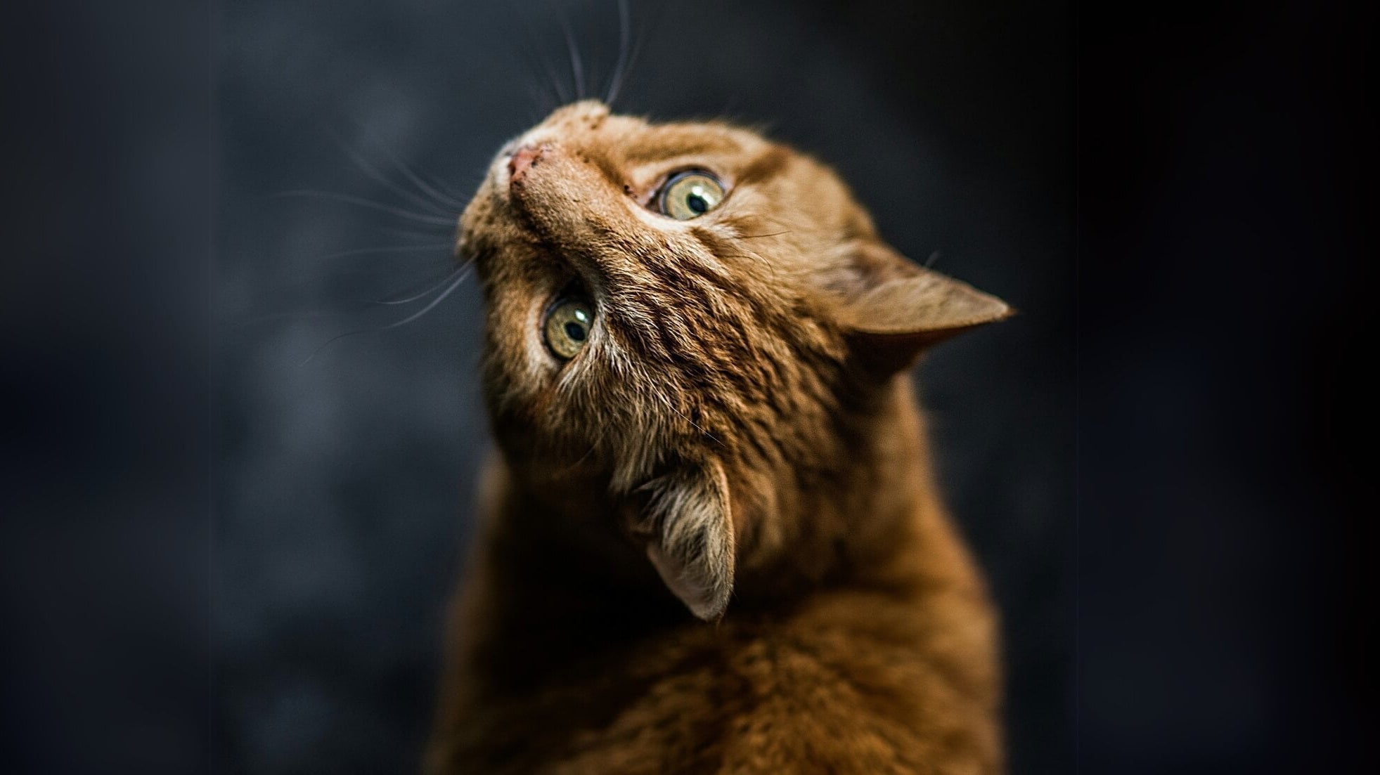 do affirmations really work? i asked 5 psychologists