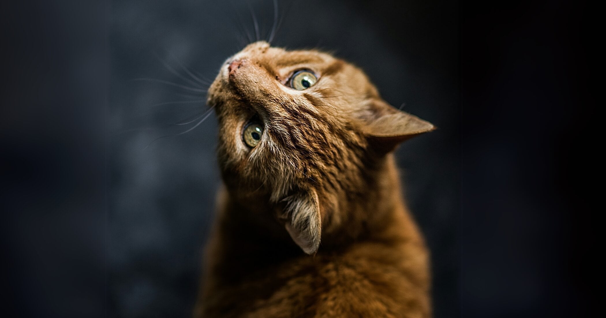 do affirmations really work? i asked 5 psychologists