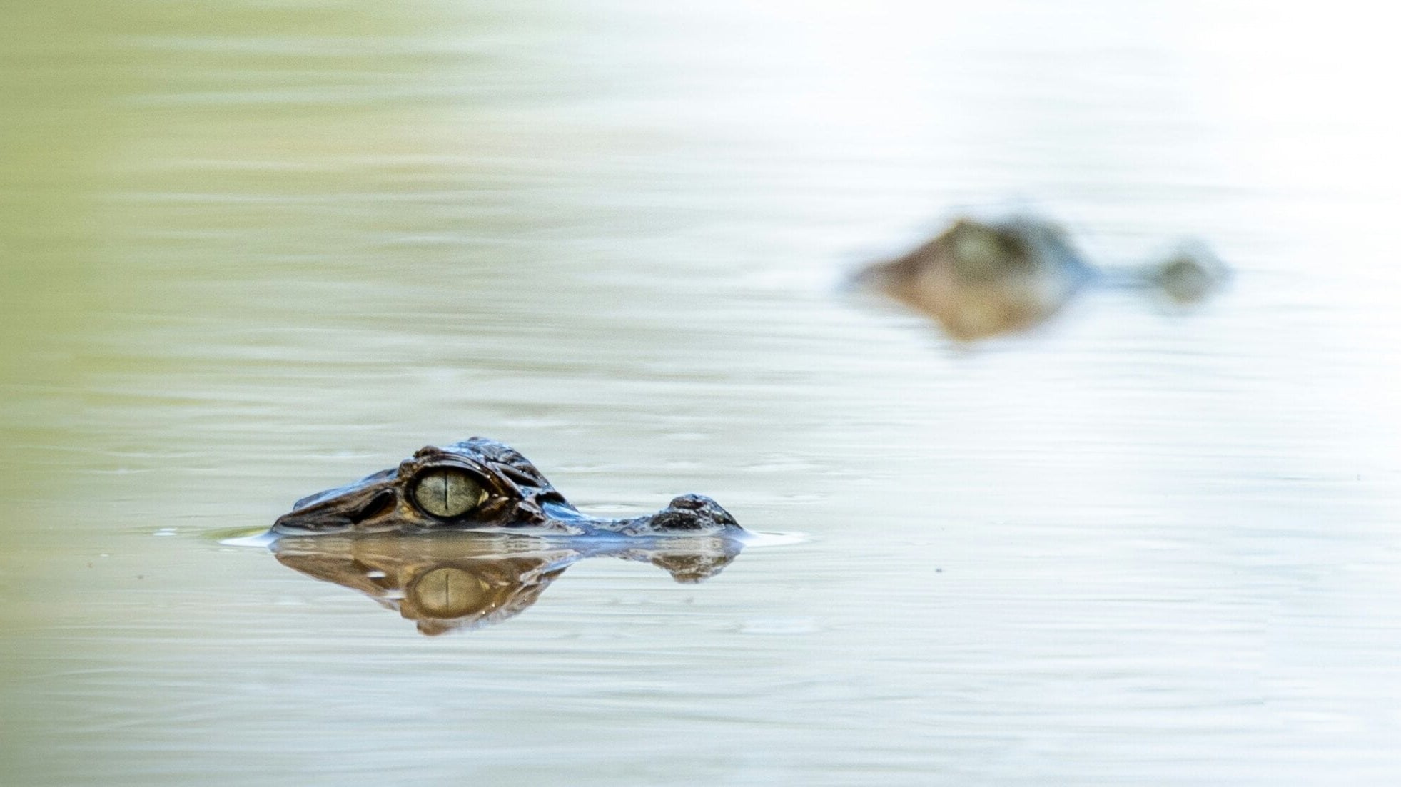 The fears of self-compassion and how to work with them