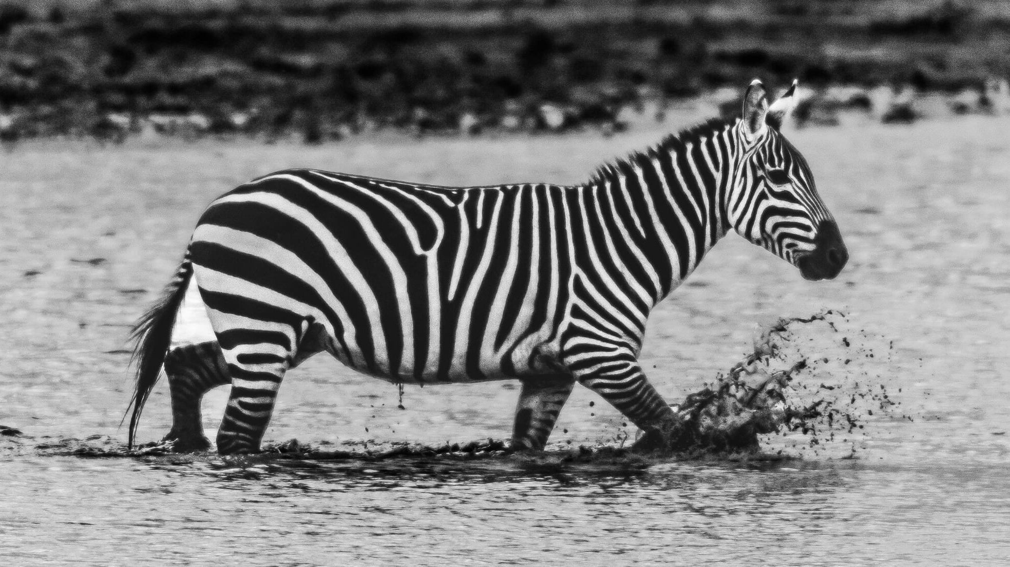 how gratitude changes your brain, health and relationships