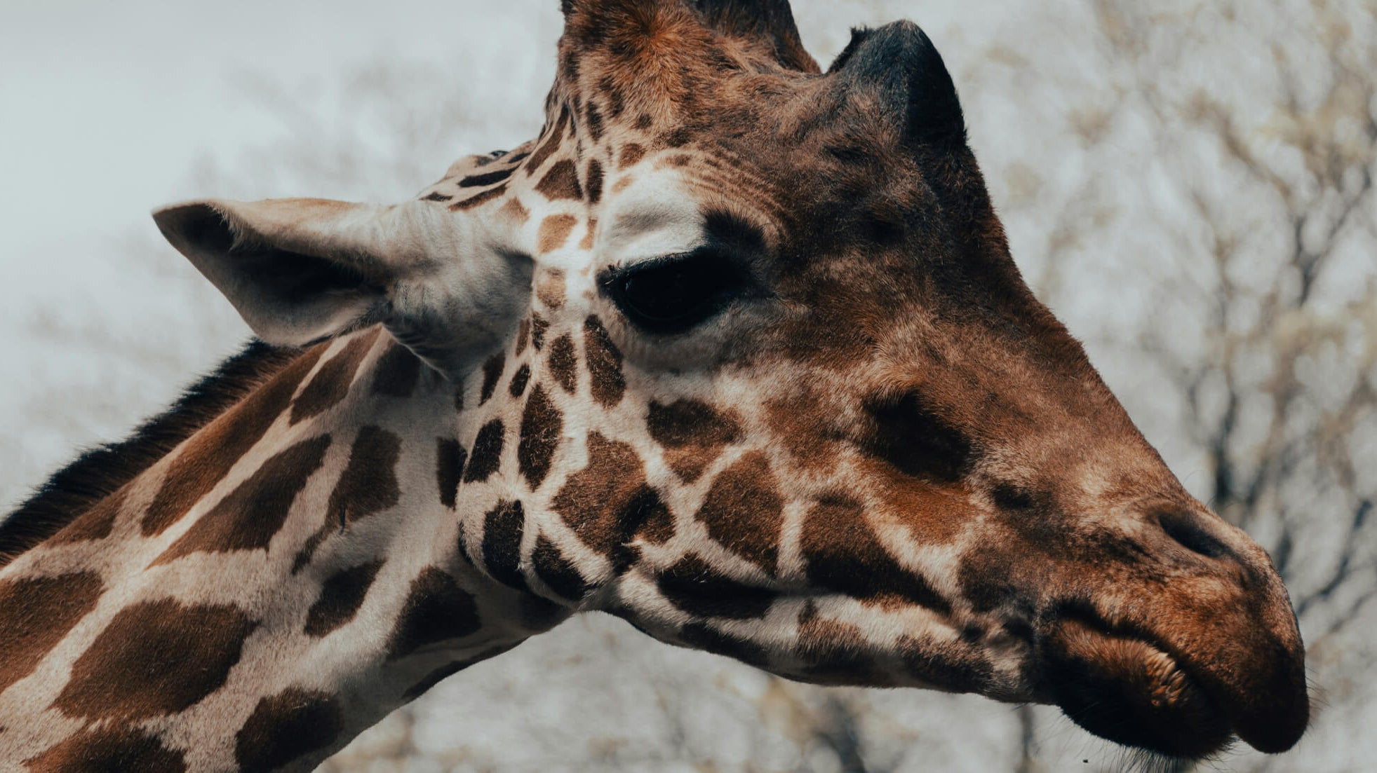 How to stop beating yourself up