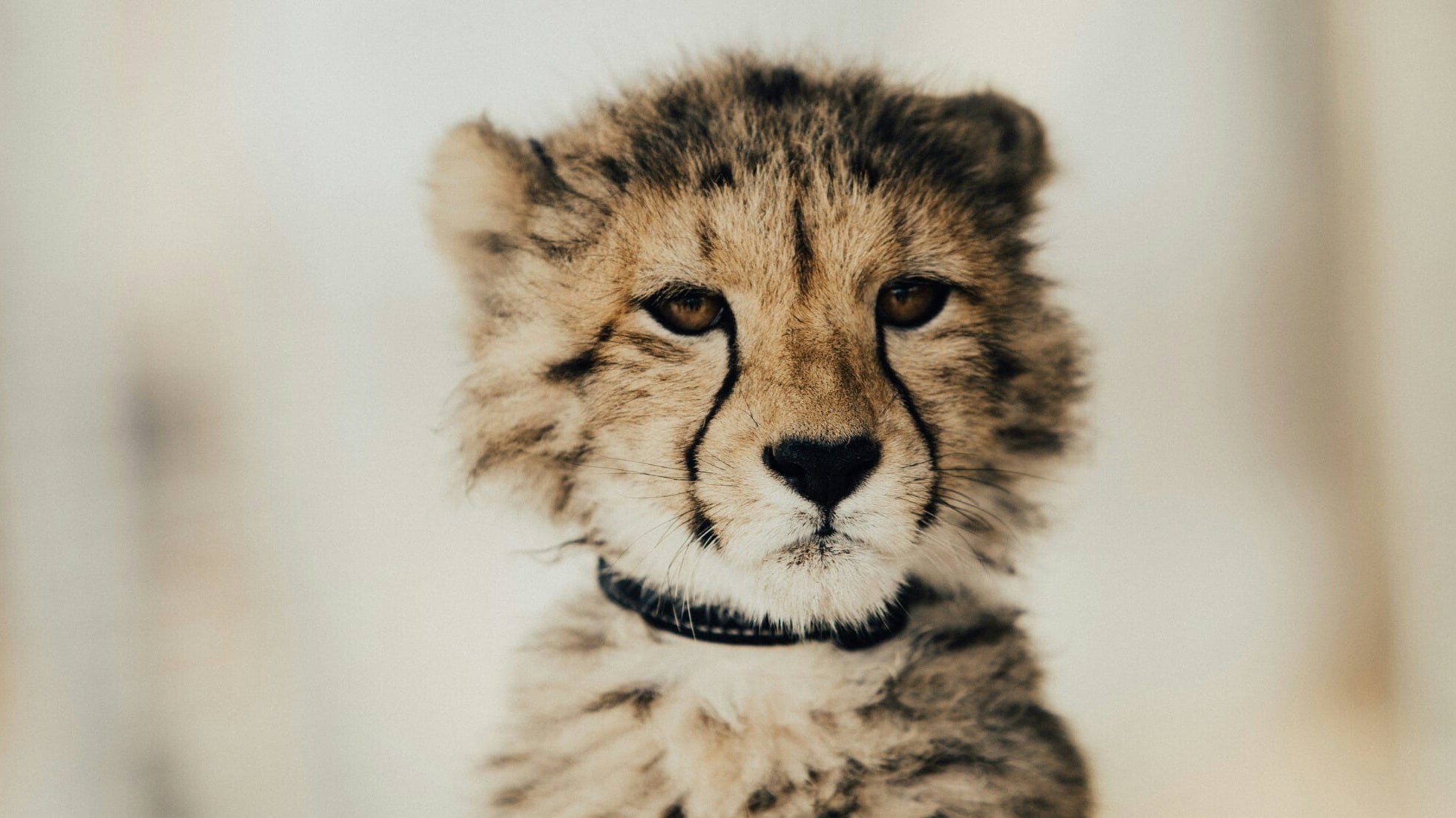 how to stop over-apologising