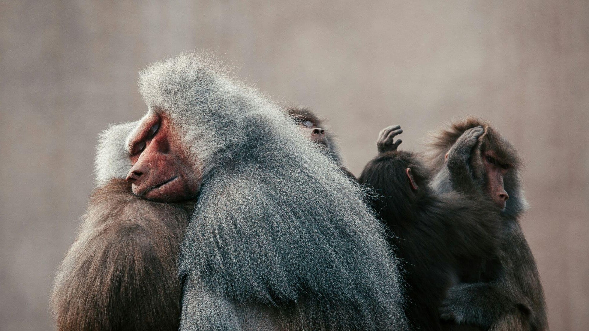 Using our imagination to help cultivate self-compassion