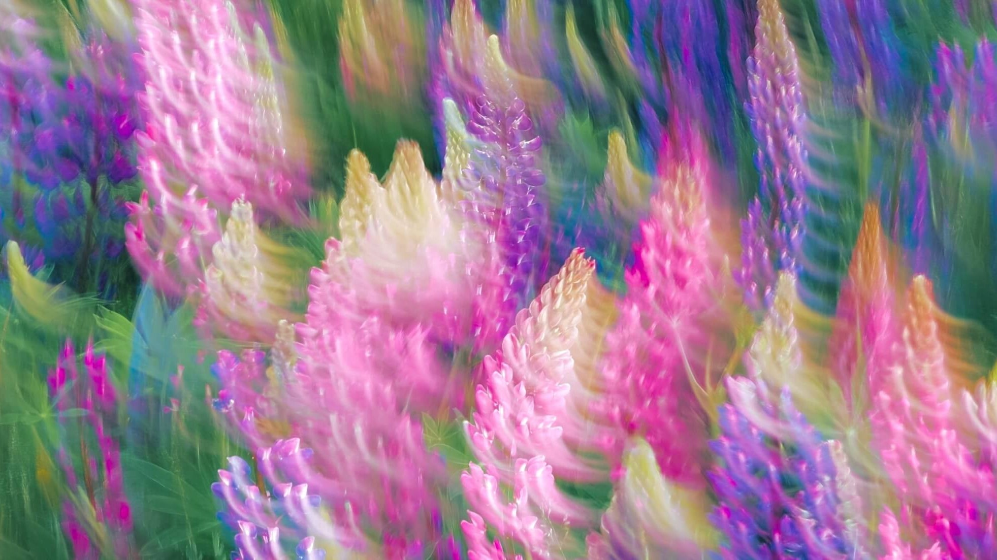 is self-compassion natural by dr chris germer