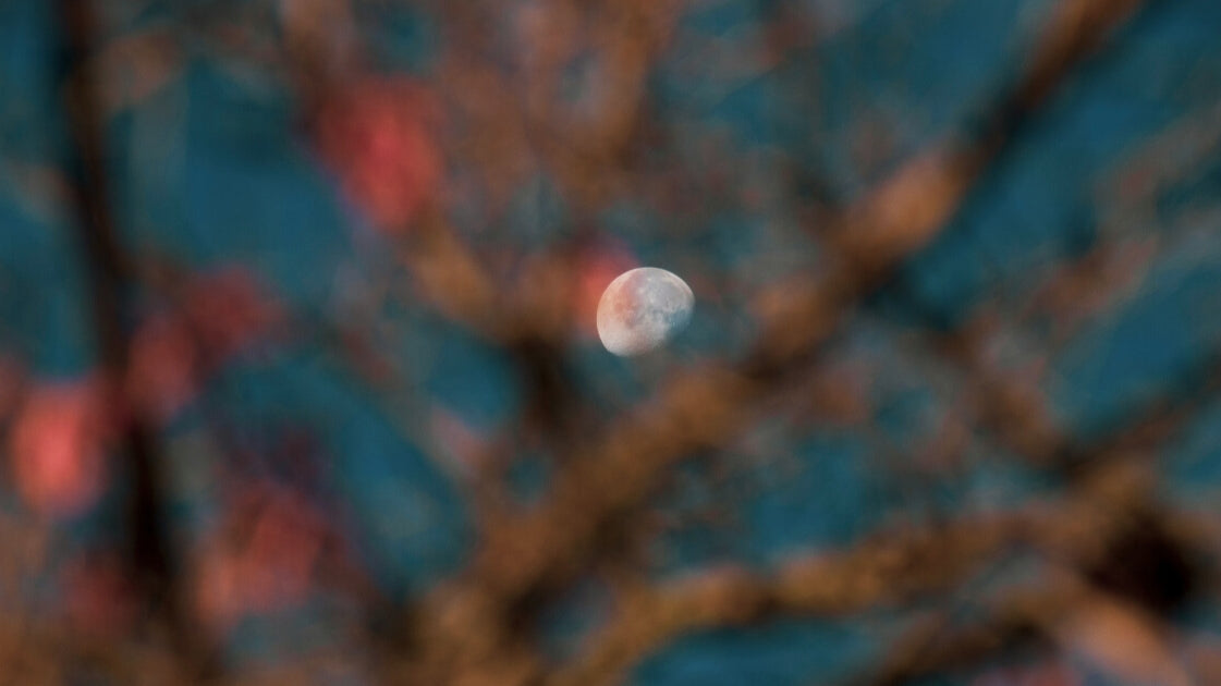 myths about grief blog