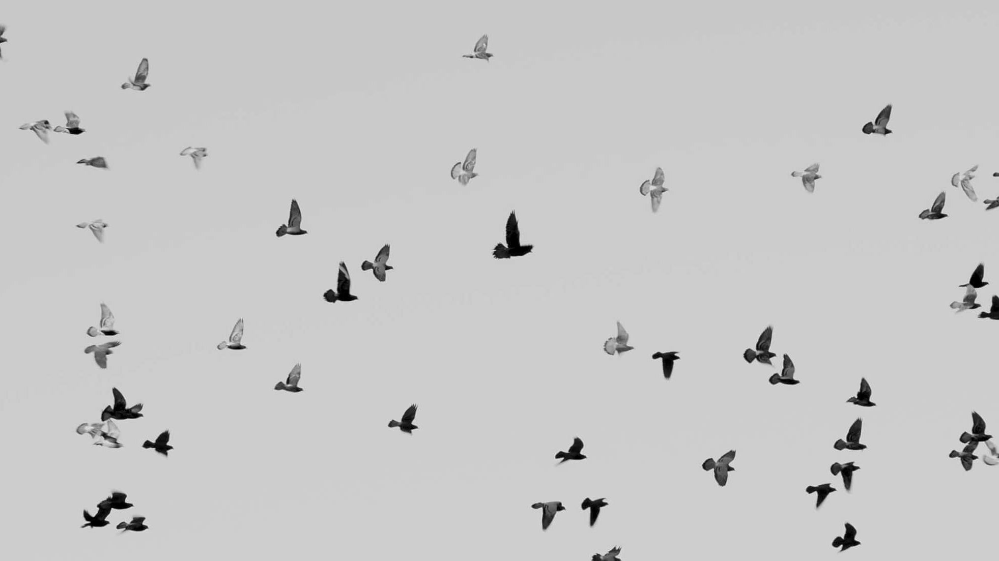 practices to help quiet the mind