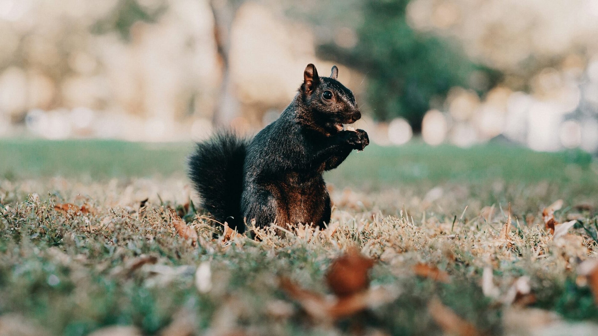 self-compassion is not self-pity