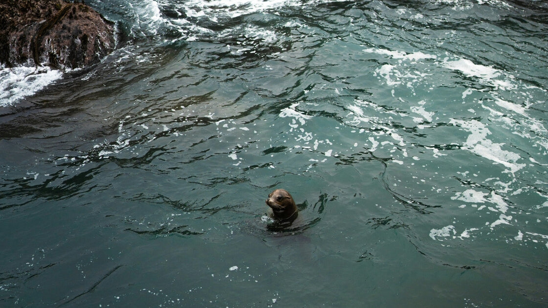 how self-compassion makes you more resilient