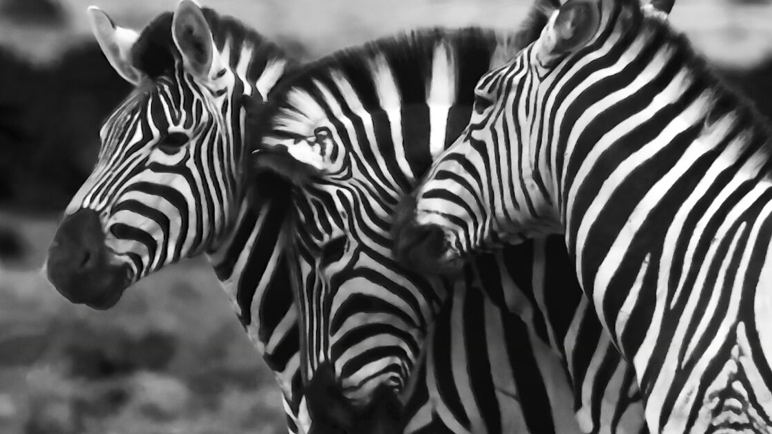 speak to yourself as if you are your best friend