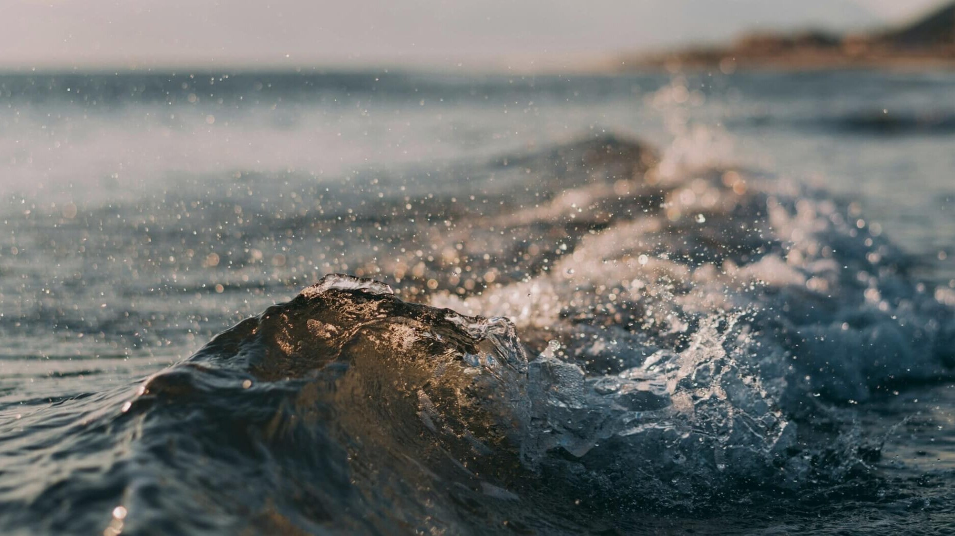 riding the wave of emotions