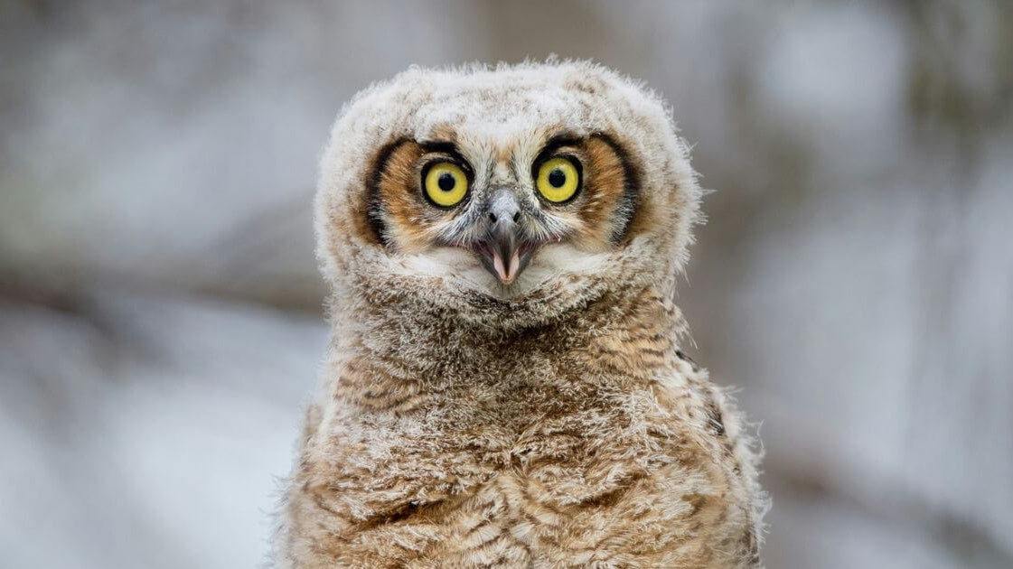 What self-love truly means and 5 ways to practice it