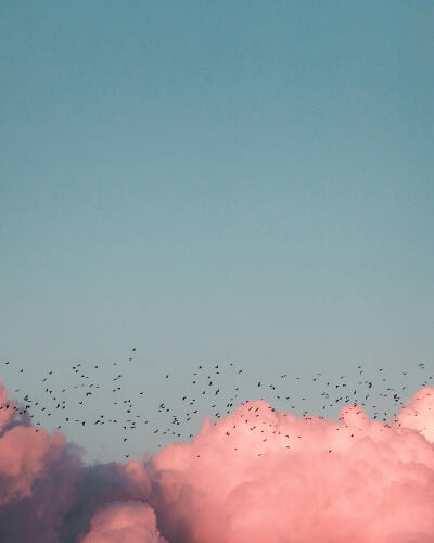 what mindfulness is not by chris germer