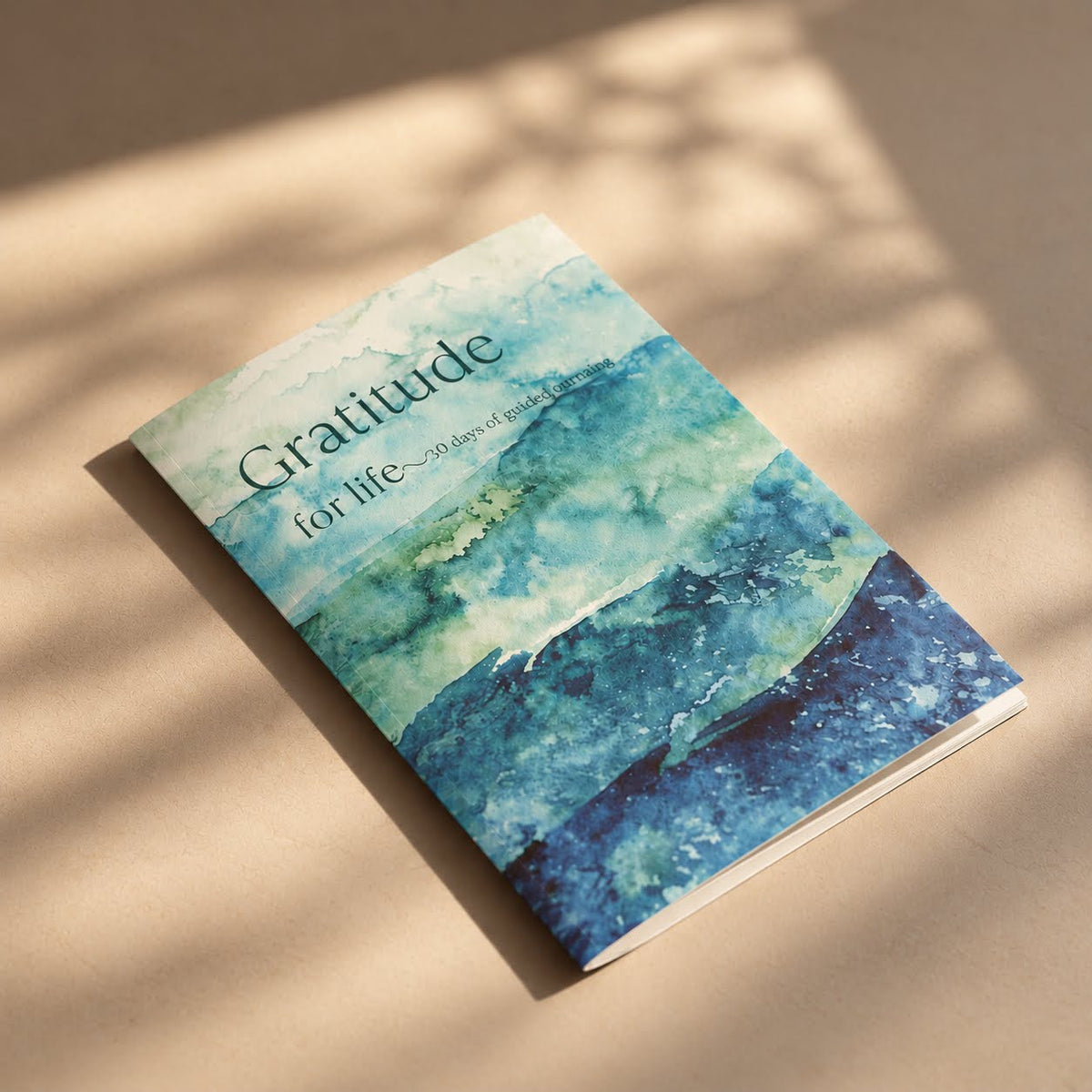 the 0 day gratitude journal