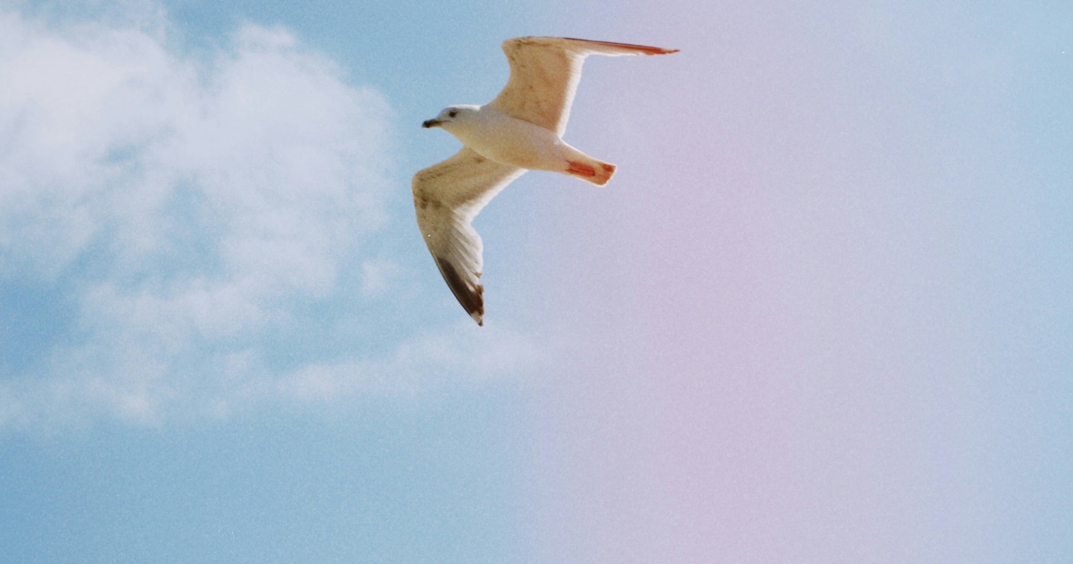 12 ways to forgive yourself – no matter what you’ve done!