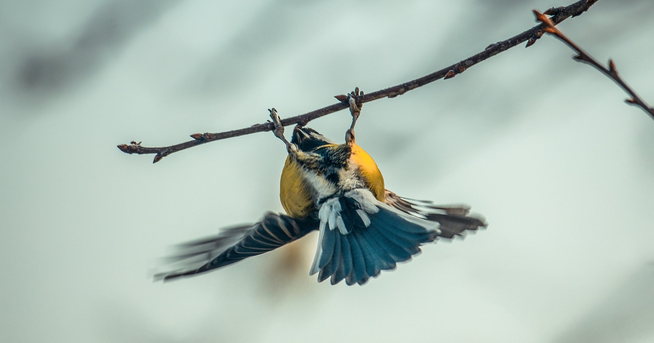 Why teens need self-compassion