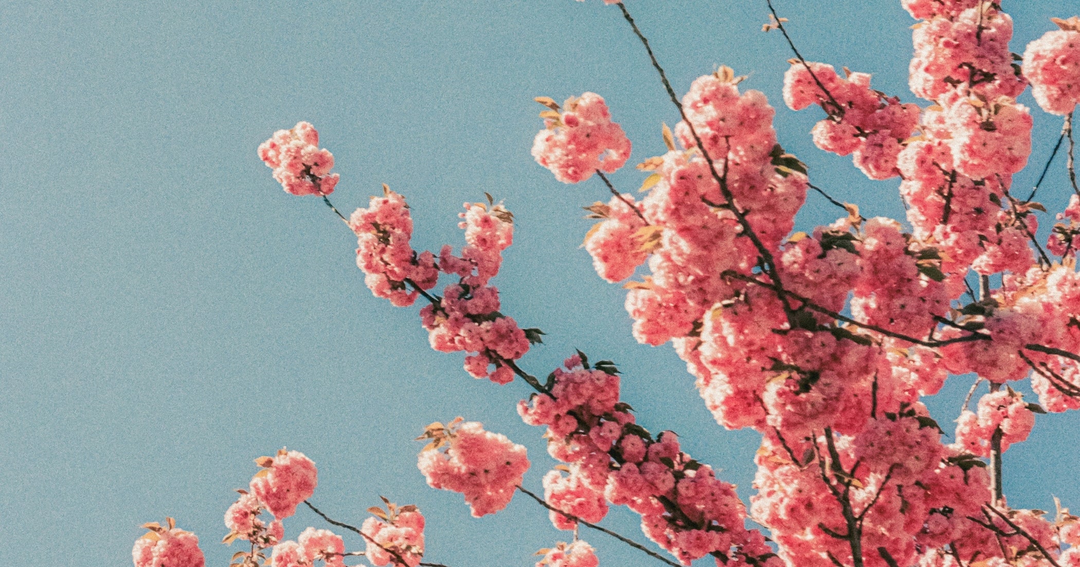 Mindfulness of your digital device