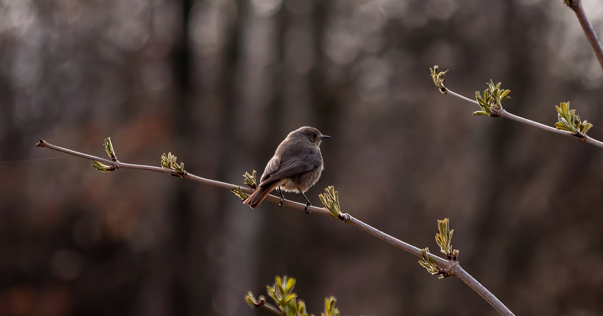 The art of mindful self-care: why small moments matter