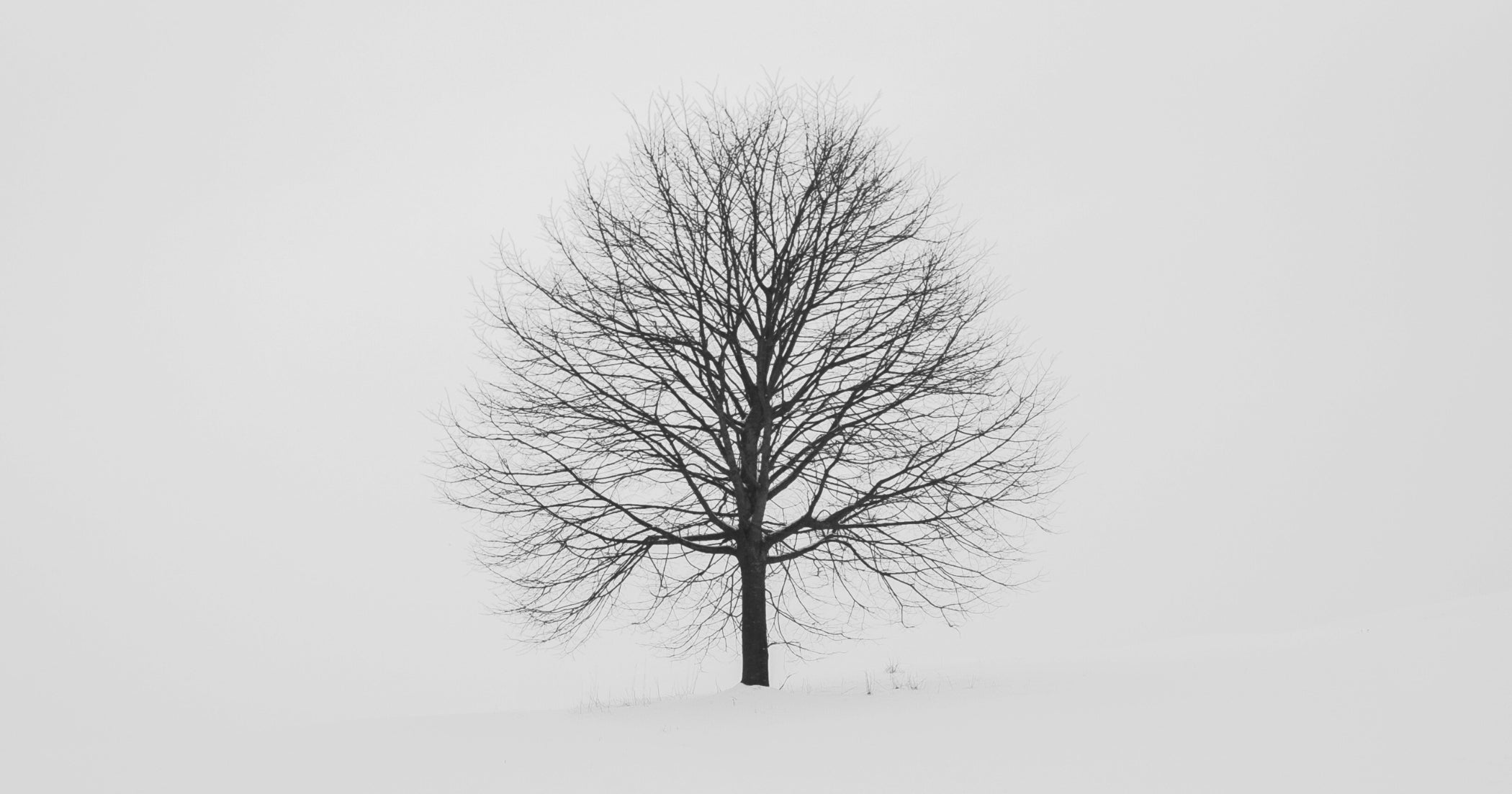7 gifts to support a loved one in eating disorder recovery