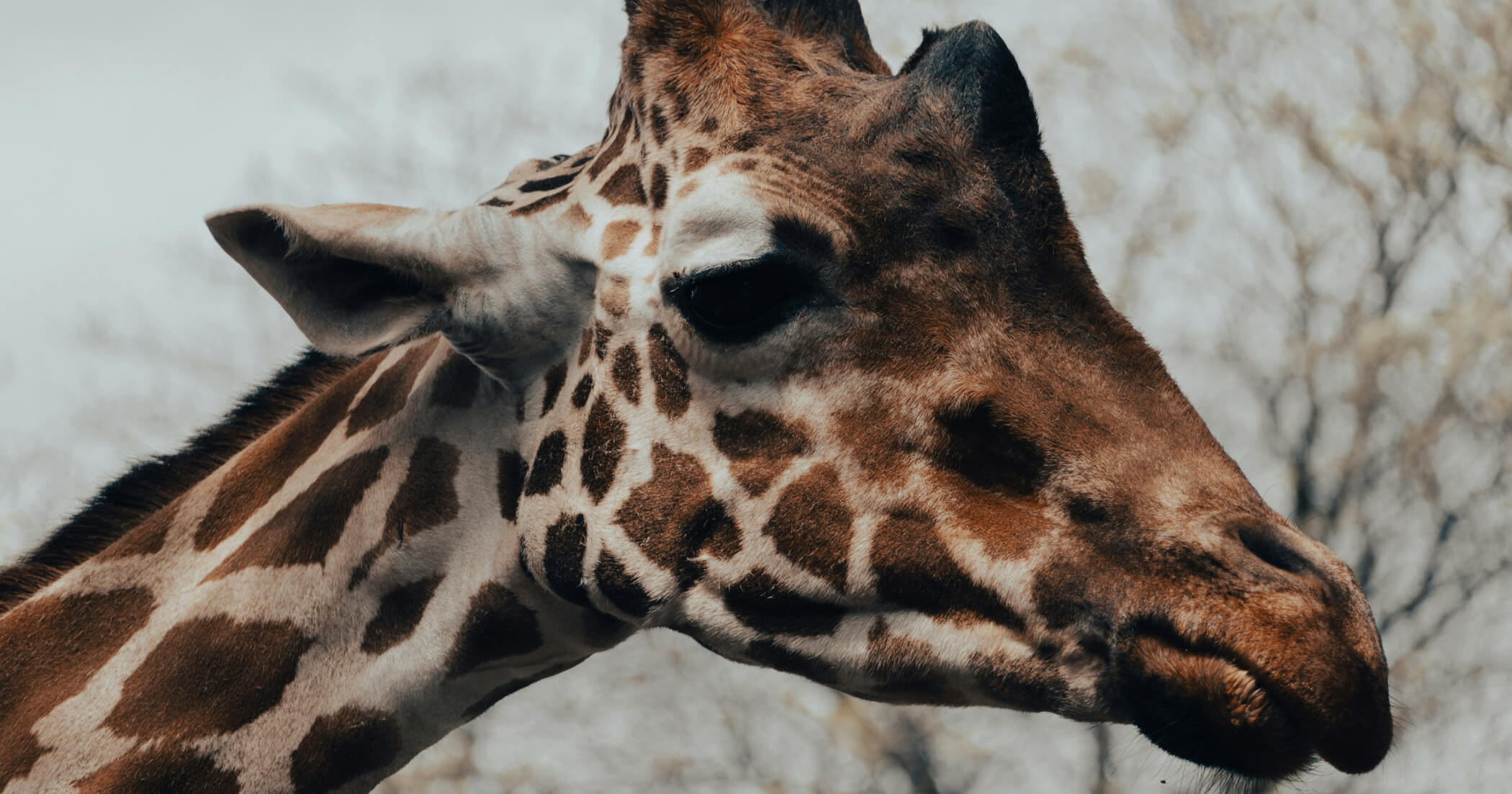 How to stop beating yourself up