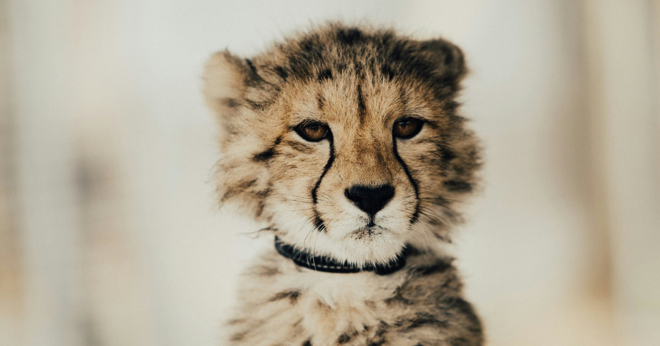 how to stop over-apologising