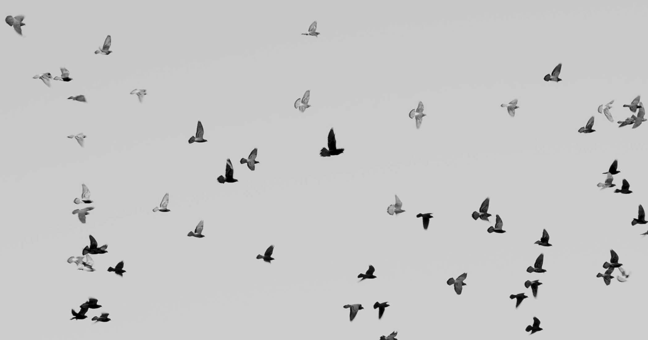 practices to help quiet the mind