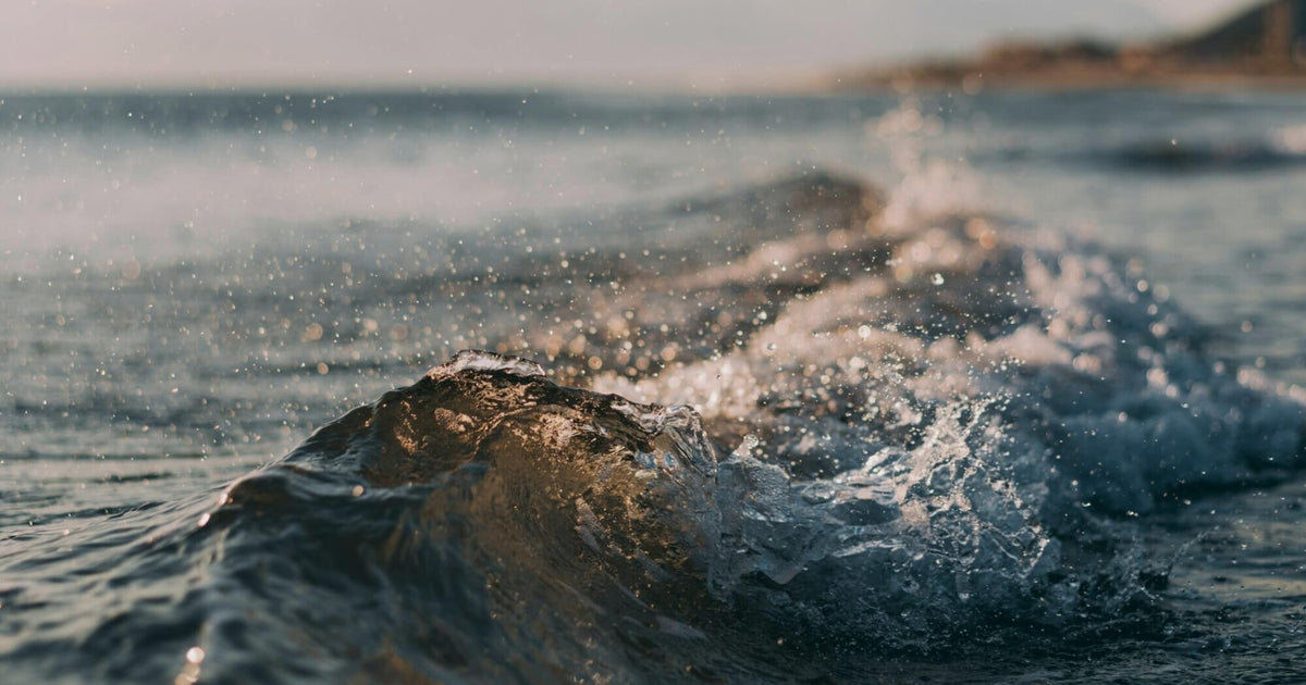 Riding the Wave of Emotions - Dr. Laura