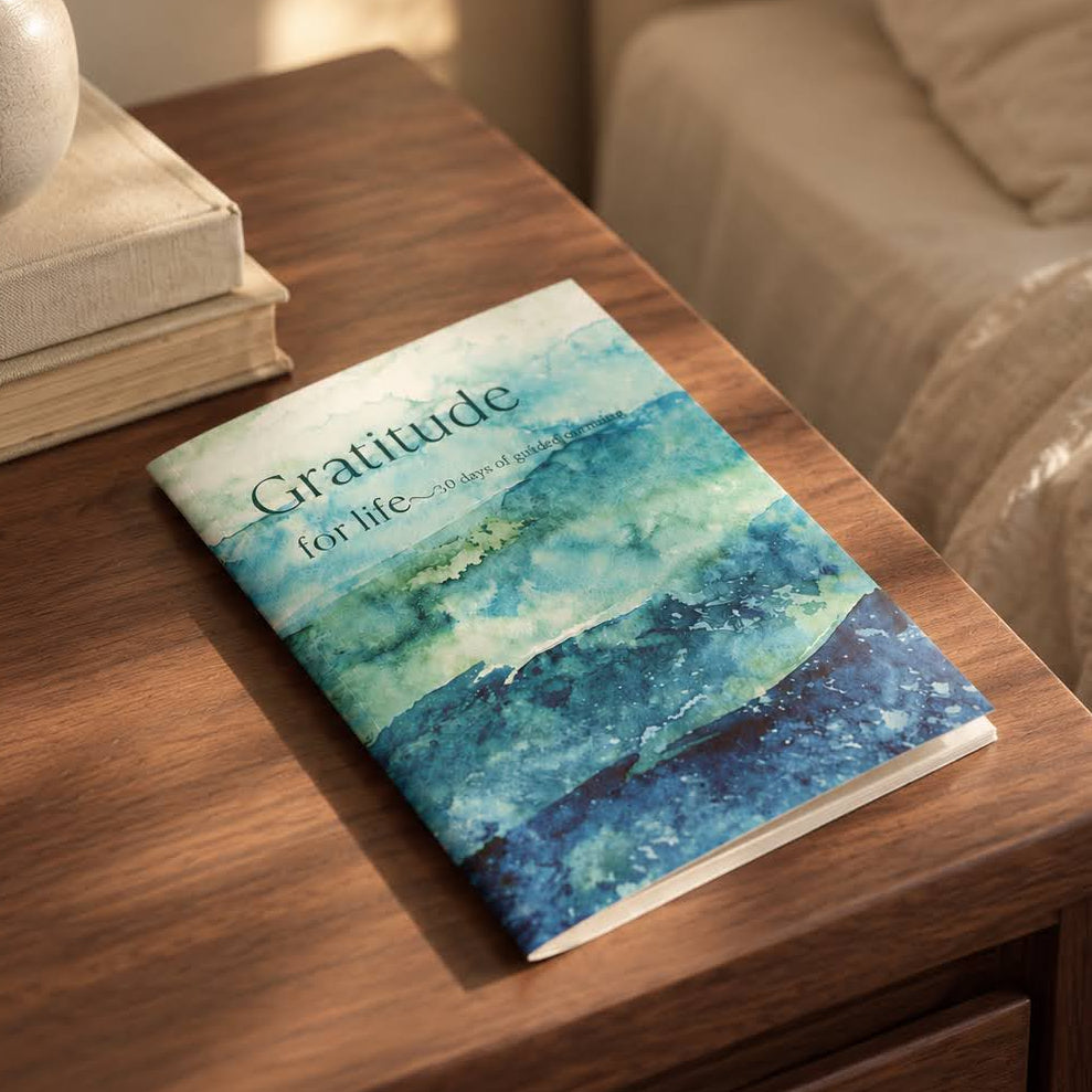 the 30 day gratitude journal 